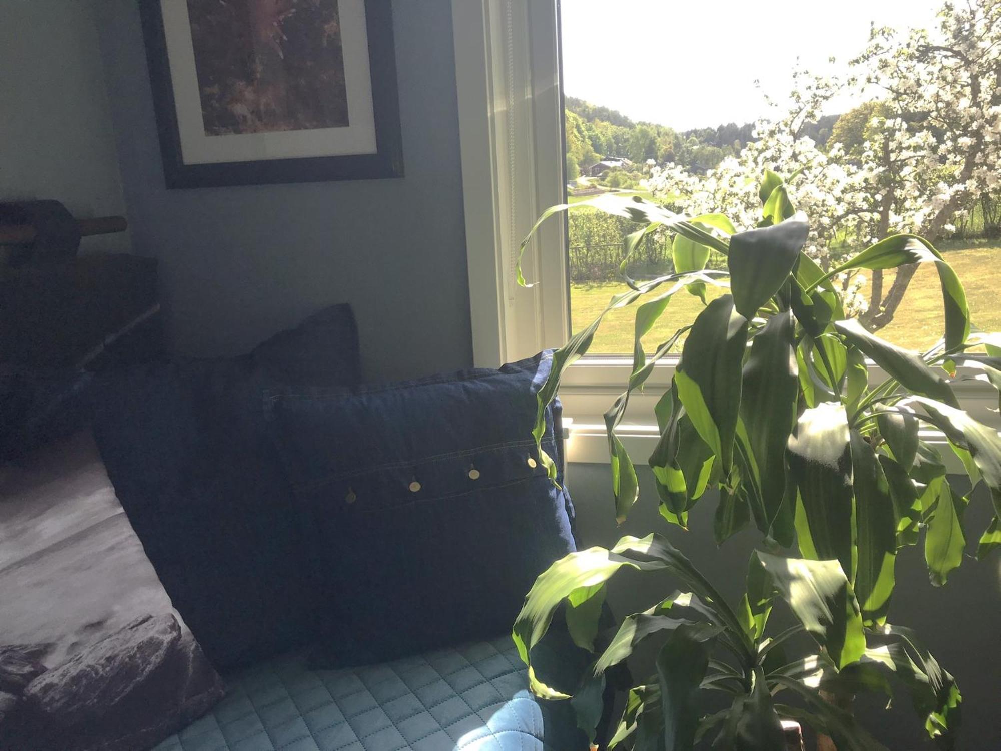 Haere Mai B&B Orust Henån Exterior foto